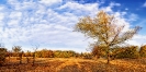 Осень в Приморском парке